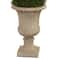 5ft. Double Pond Cypress Spiral Topiary Tree in Urn